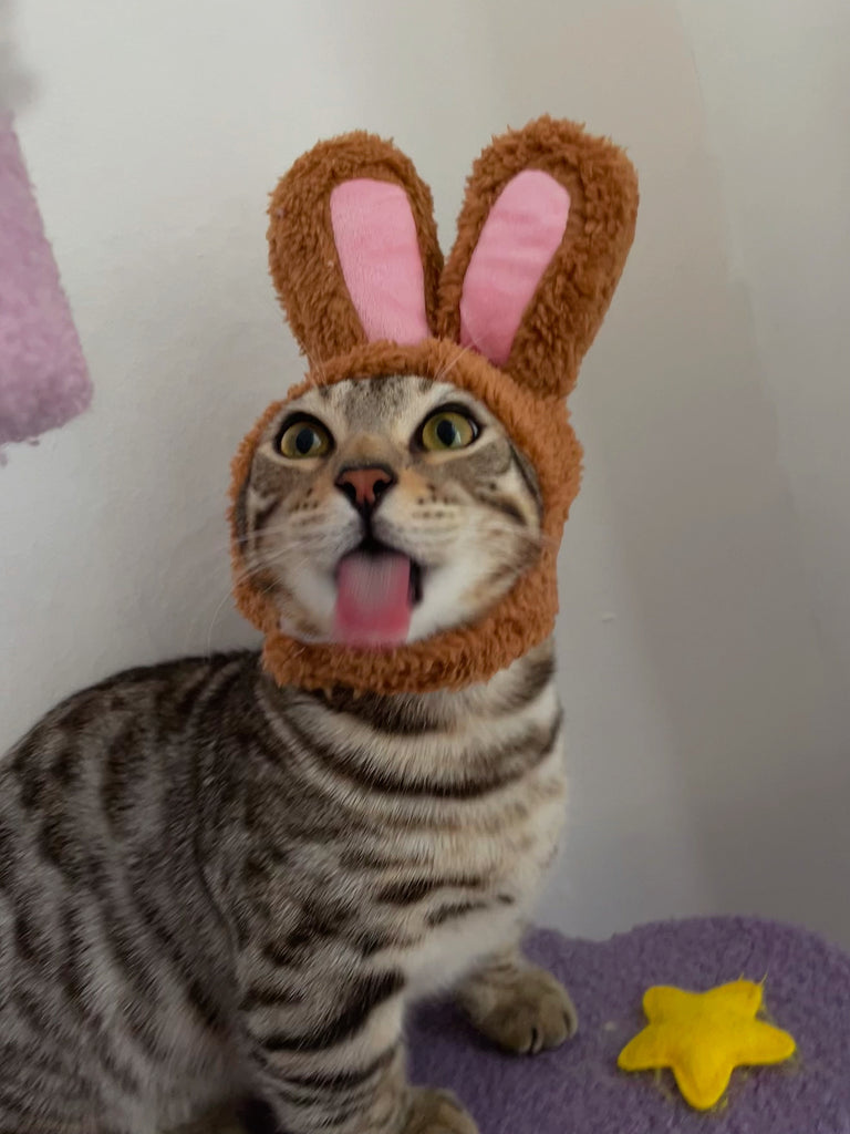 Easter Cat Hat