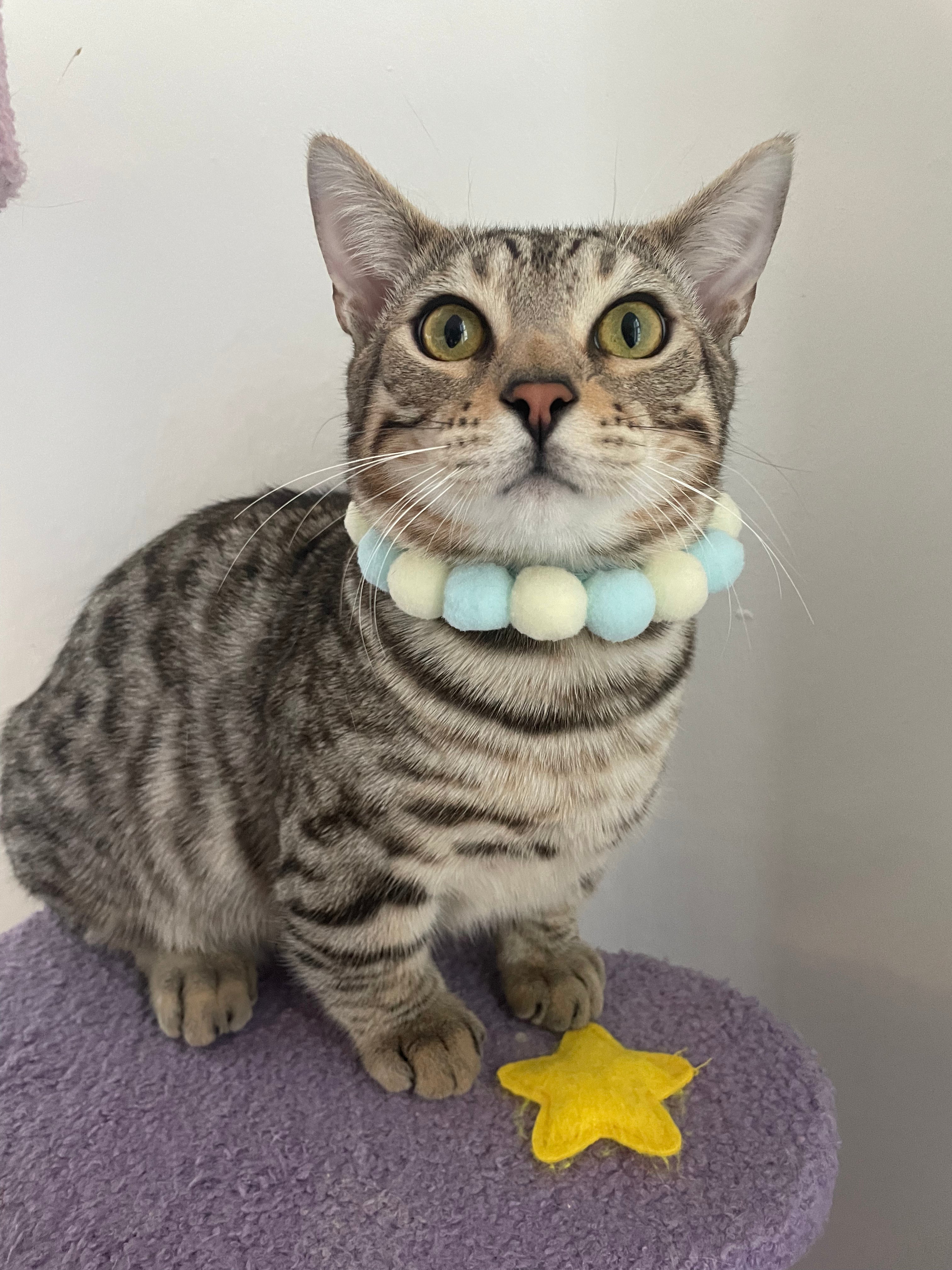 Handmade Easter Egg Collars for Cats & Dogs