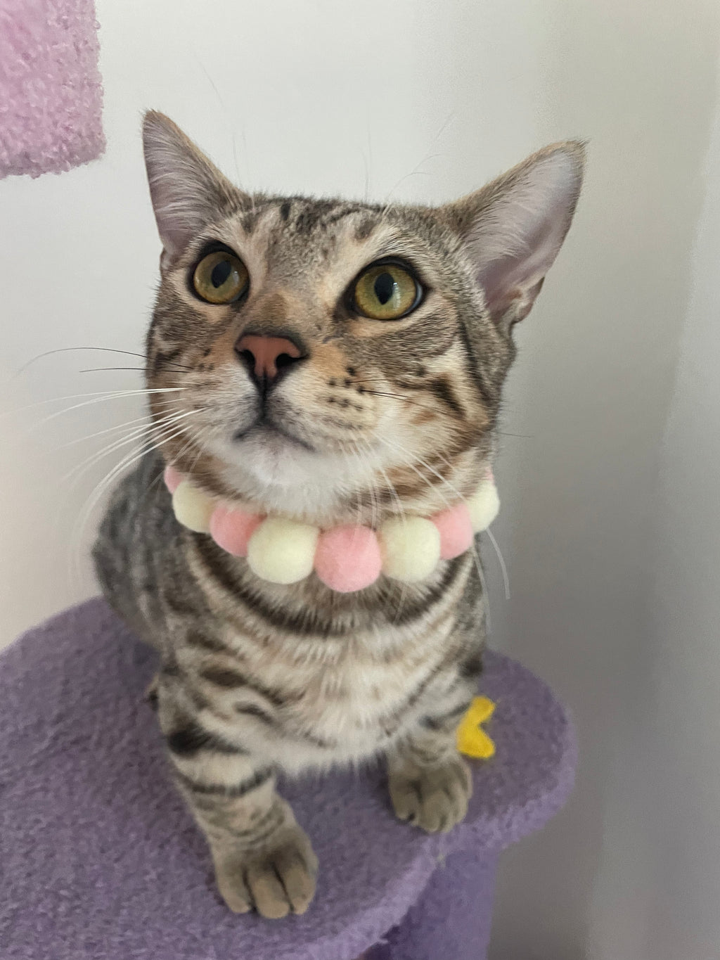 Handmade Easter Egg Collars for Cats & Dogs