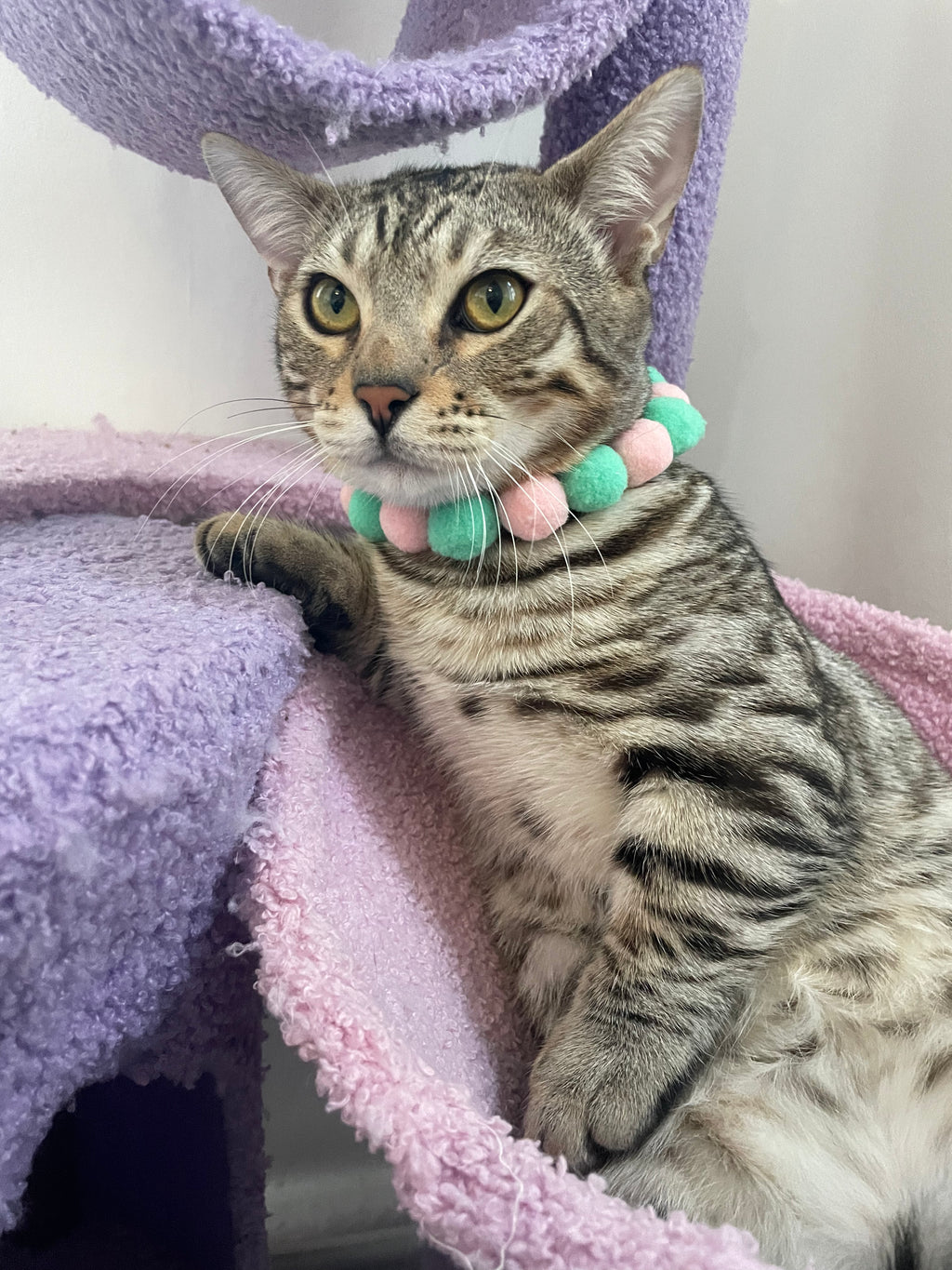 Handmade Easter Egg Collars for Cats & Dogs