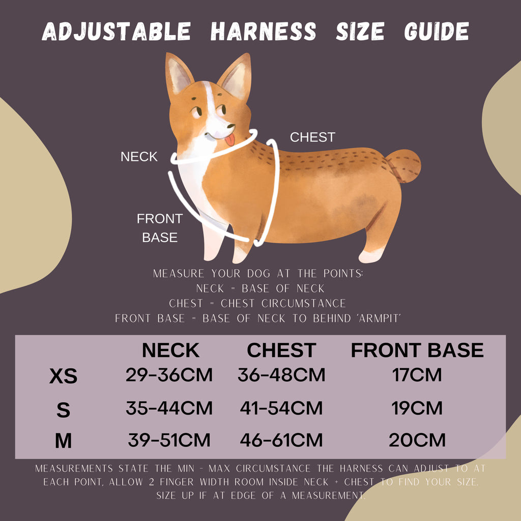Walk Essentials | 'Try'angle