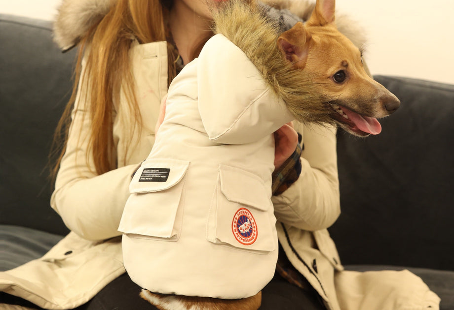 Canada goose hotsell animal jacket