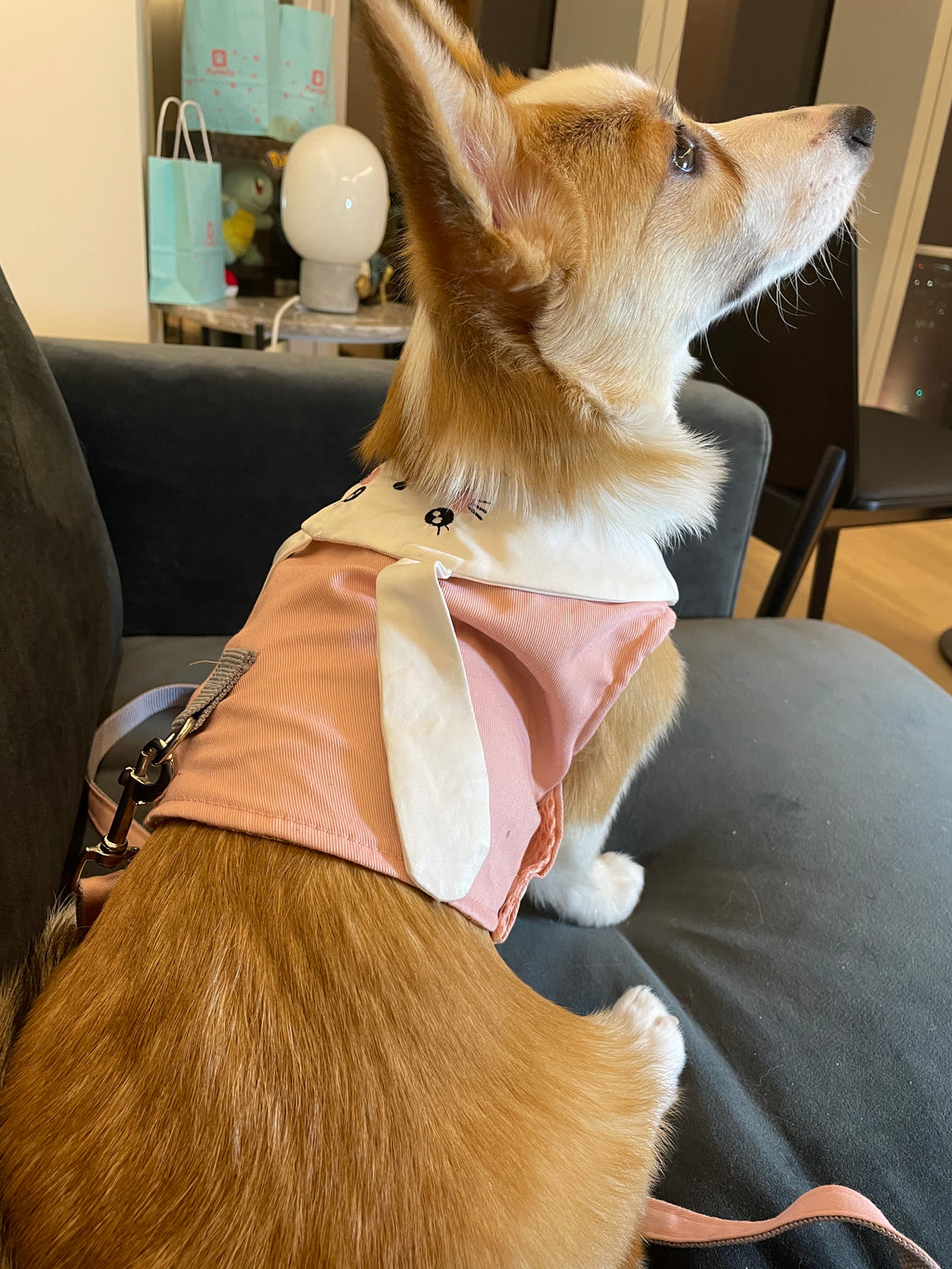 Bunny Harness and Leash Set