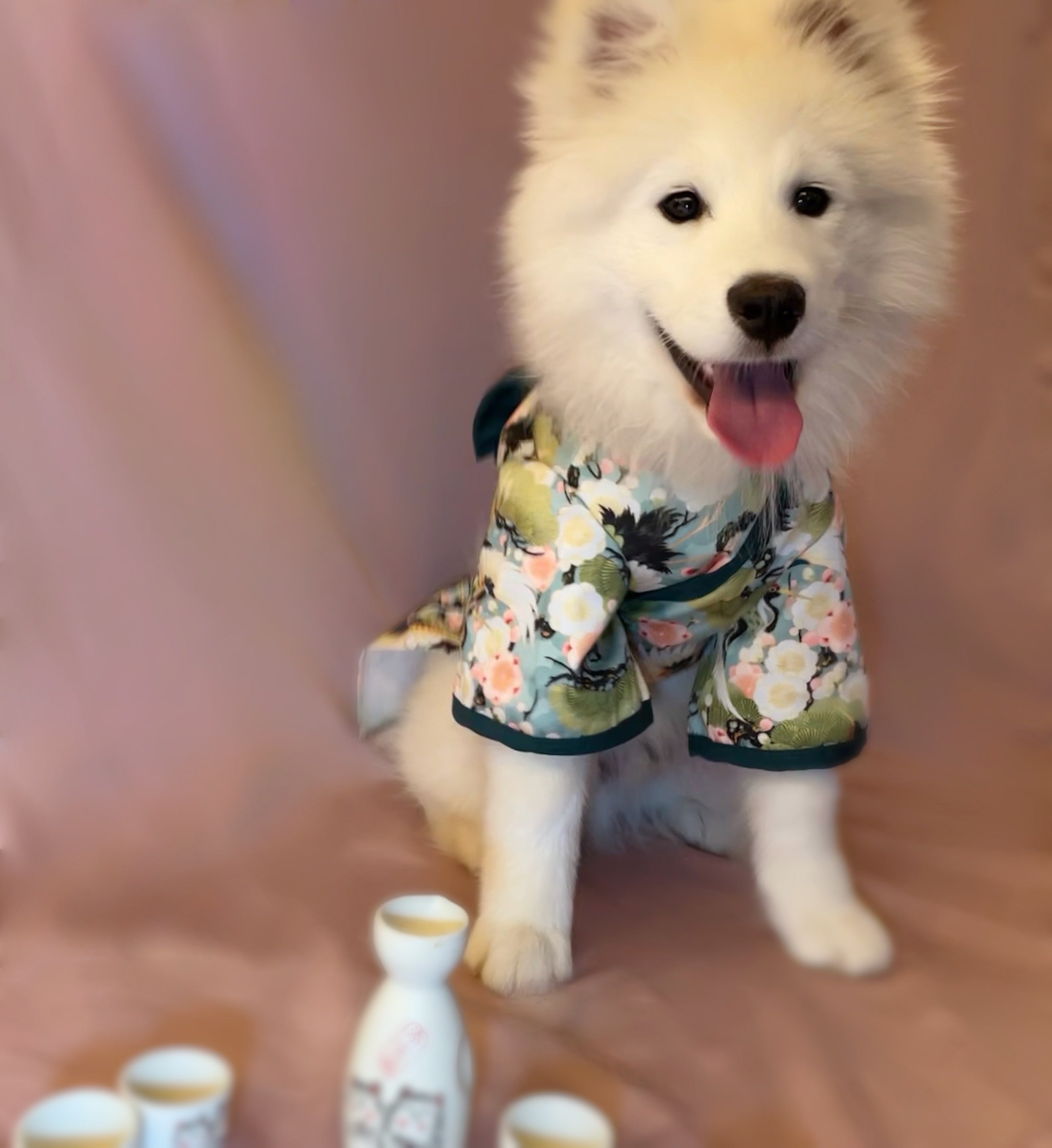 Traditional Kimono Robe