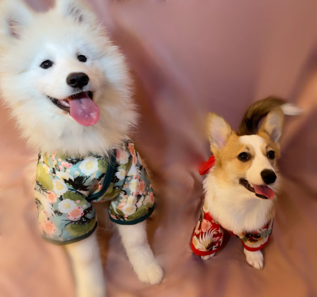 Traditional Kimono Robe