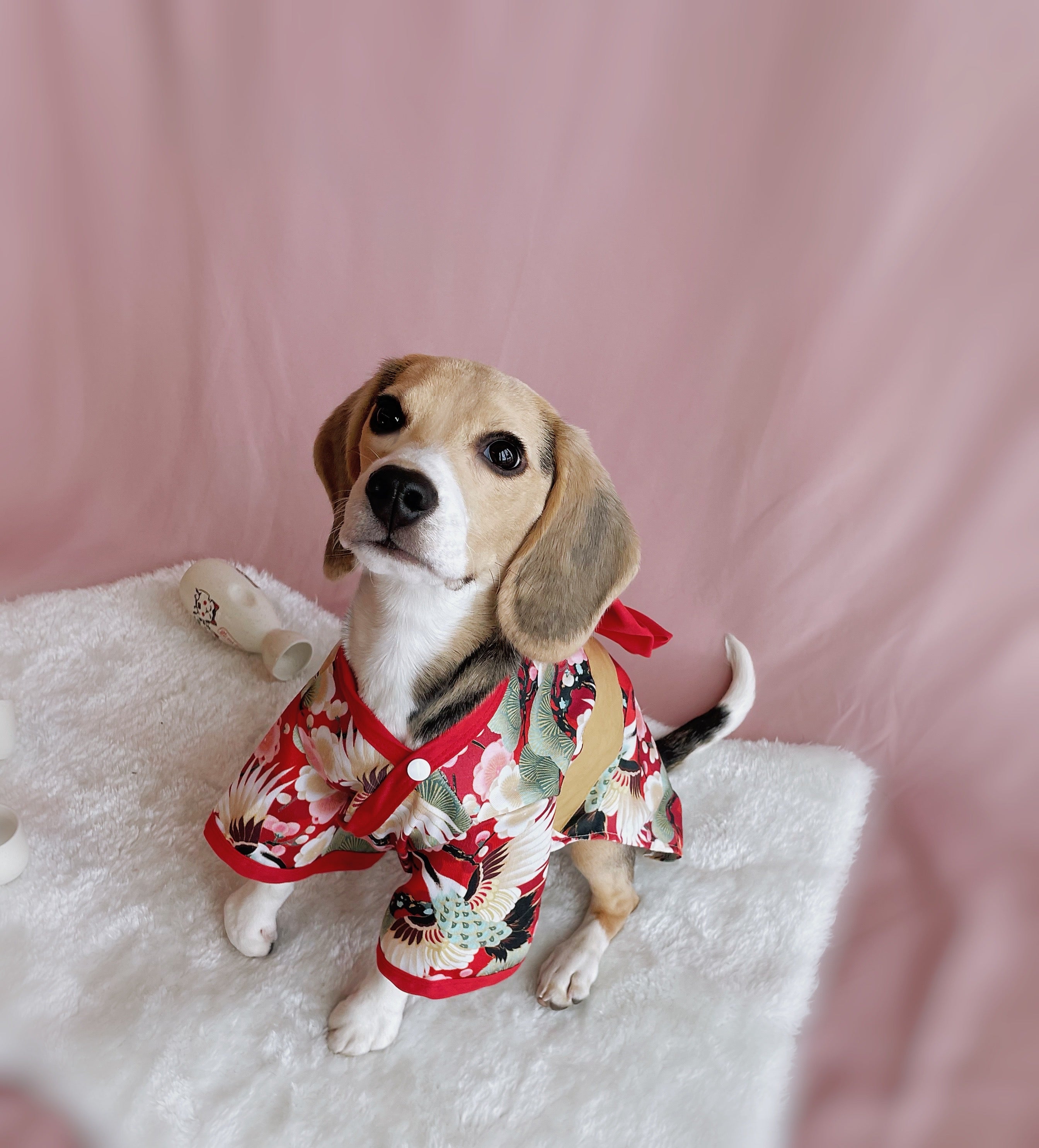 Traditional Kimono Robe