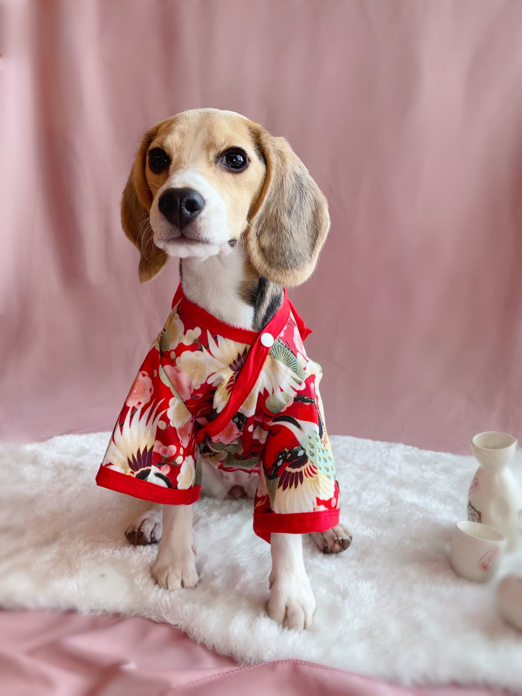 Traditional Kimono Robe