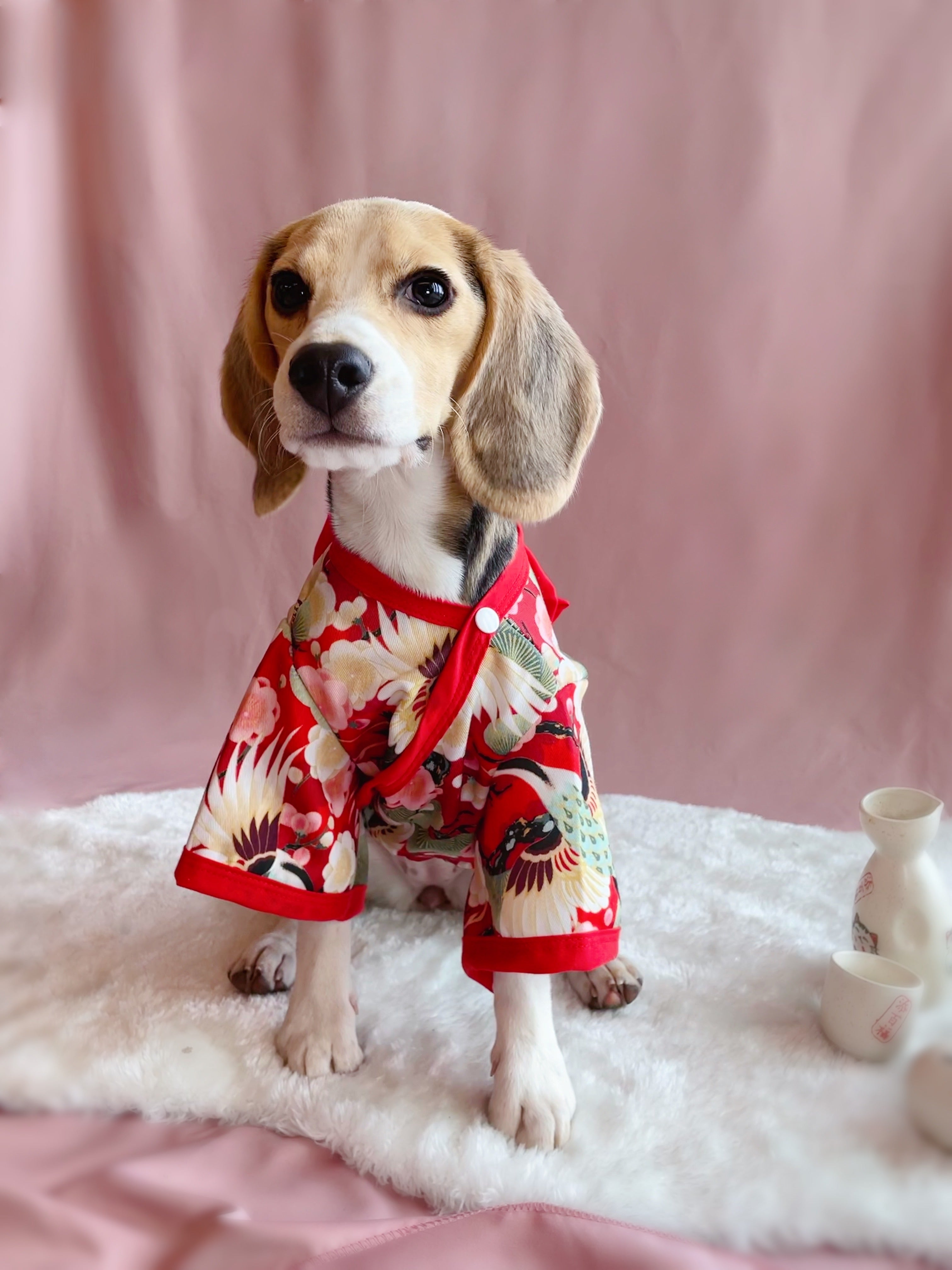 Traditional Kimono Robe