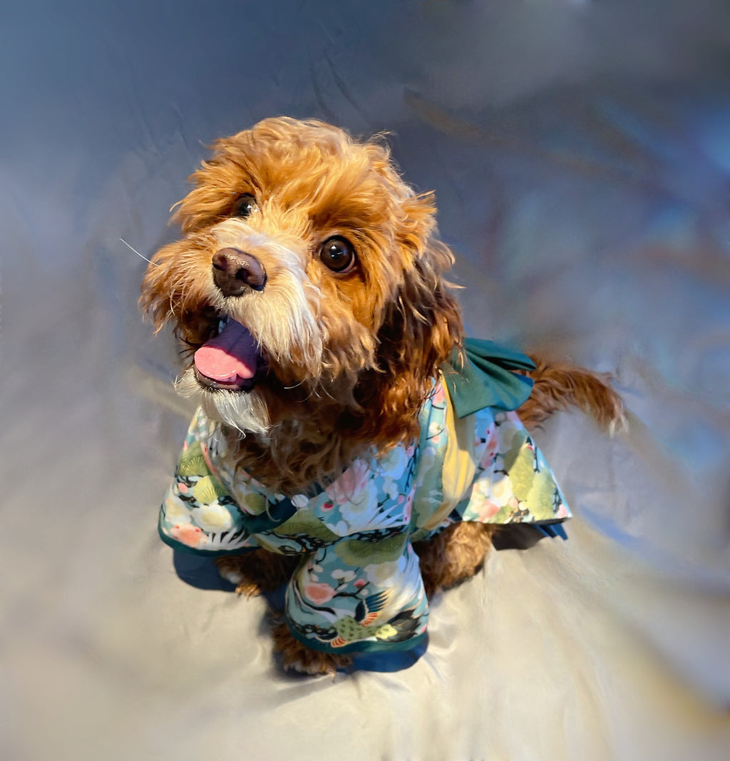 Traditional Kimono Robe