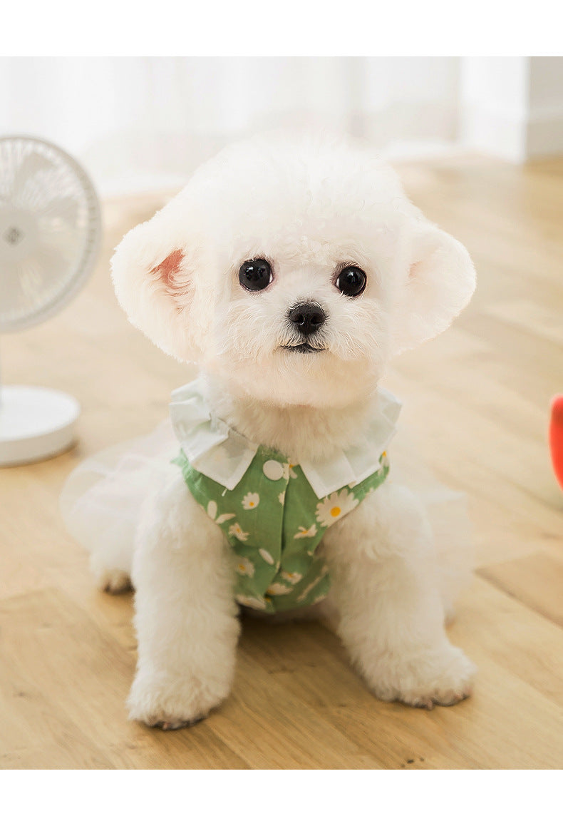 Daisy Print Summer Harness Dress