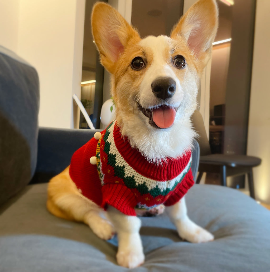 Red Sleeveless Christmas Jumper