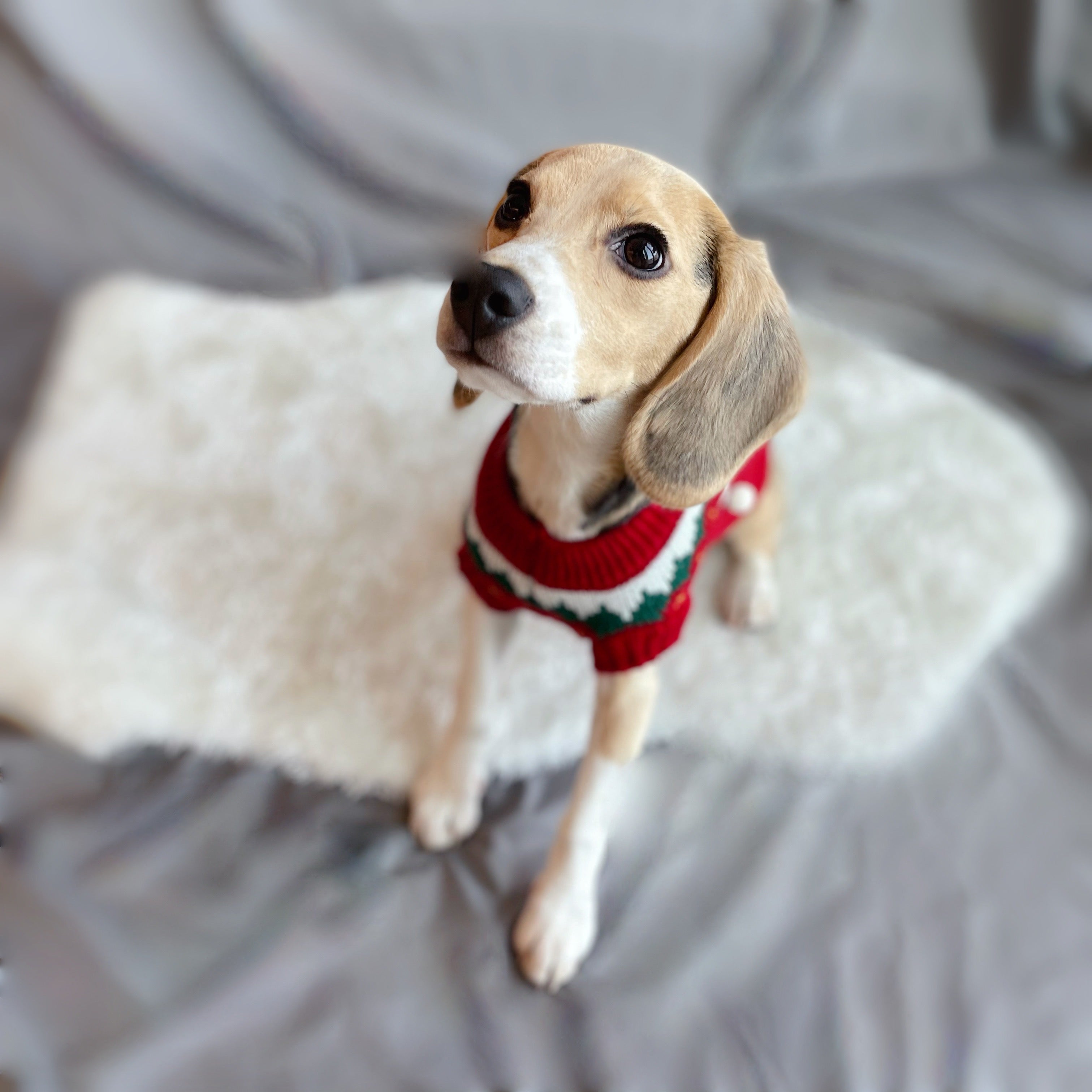 Red Sleeveless Christmas Jumper