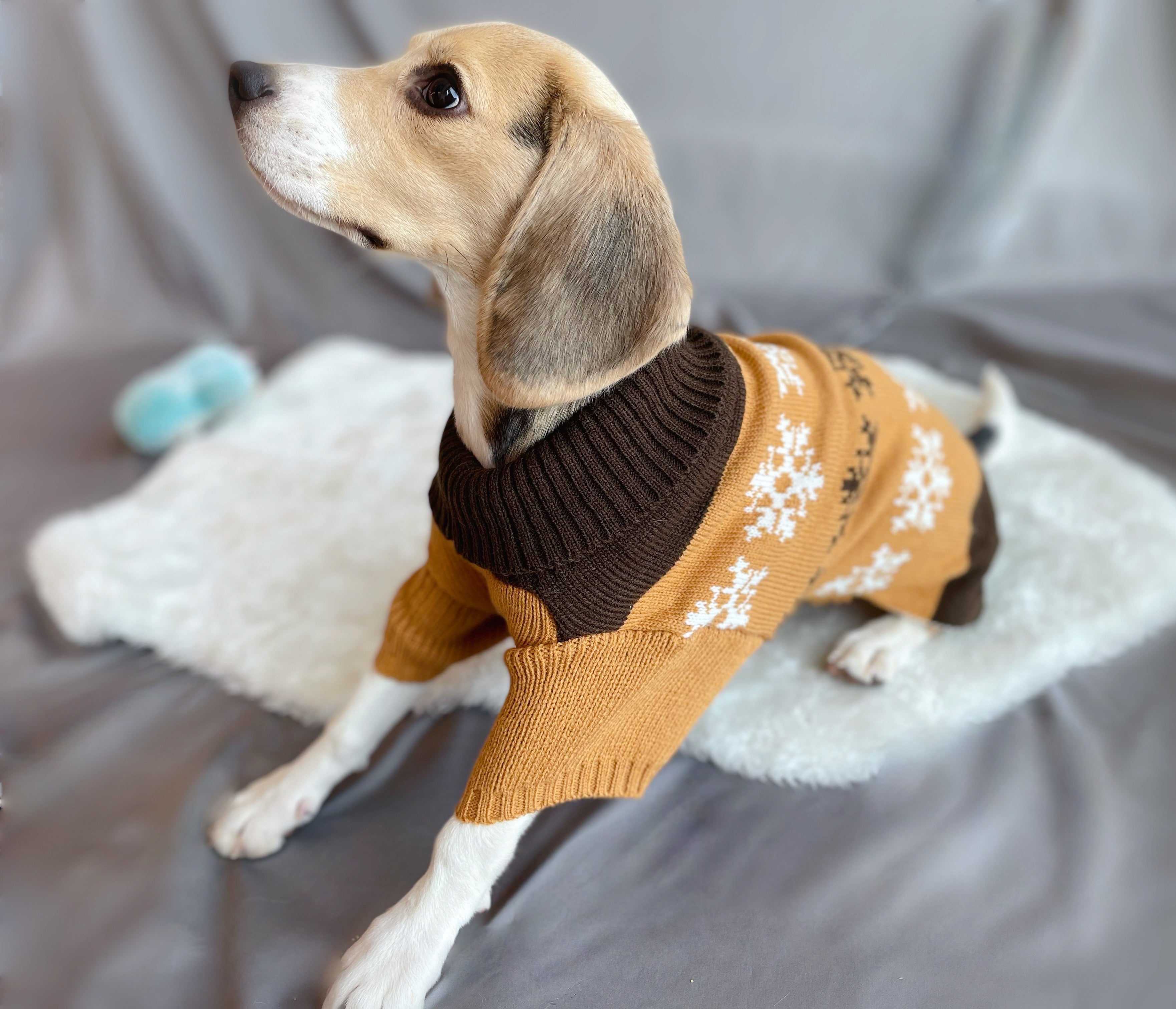 Snowflake and Peanut Butter Jumper