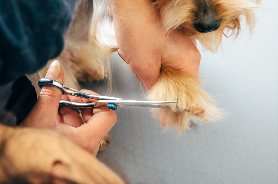 Nail trim store