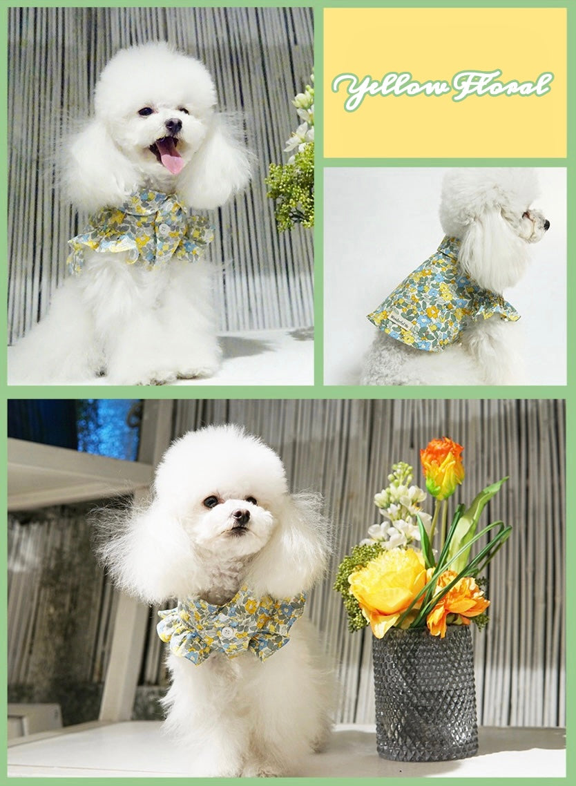 Floral T Shirt with Spread Collar