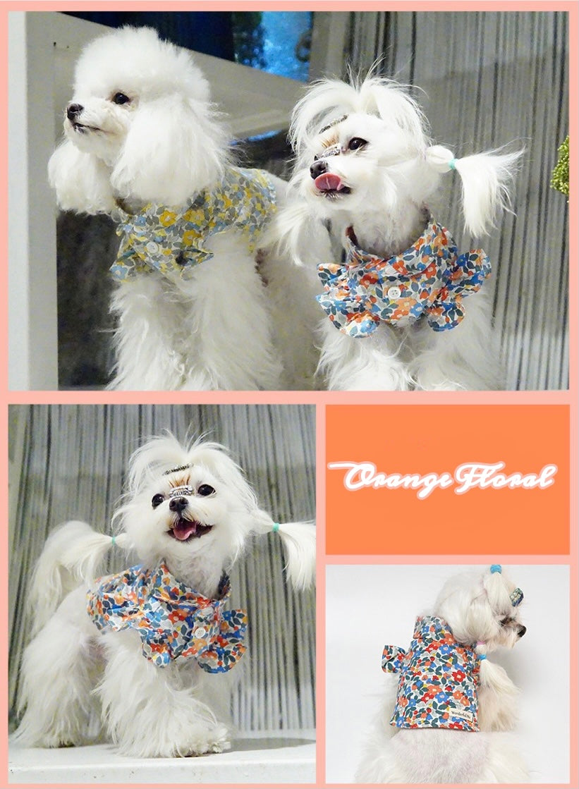 Floral T Shirt with Spread Collar