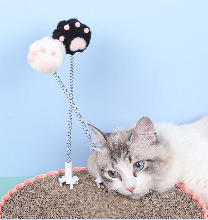 Paw Cat Interactive Toy