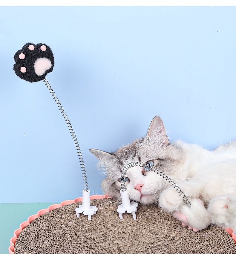 Paw Cat Interactive Toy