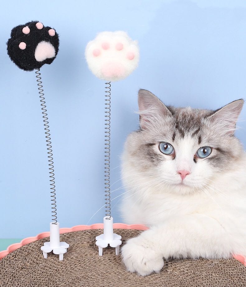 Paw Cat Interactive Toy