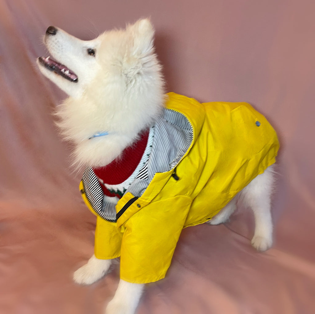 Windproof Dog Raincoat