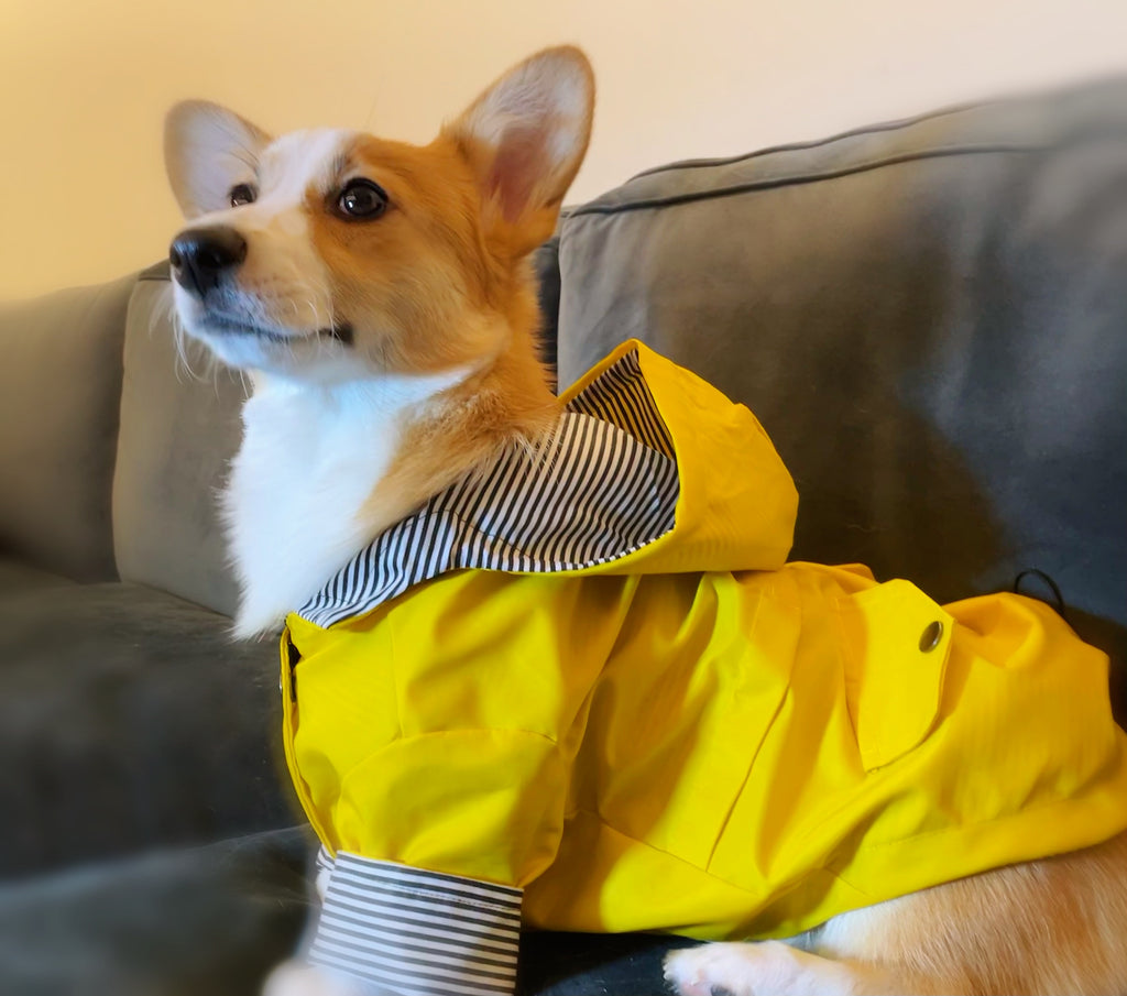 Windproof Dog Raincoat