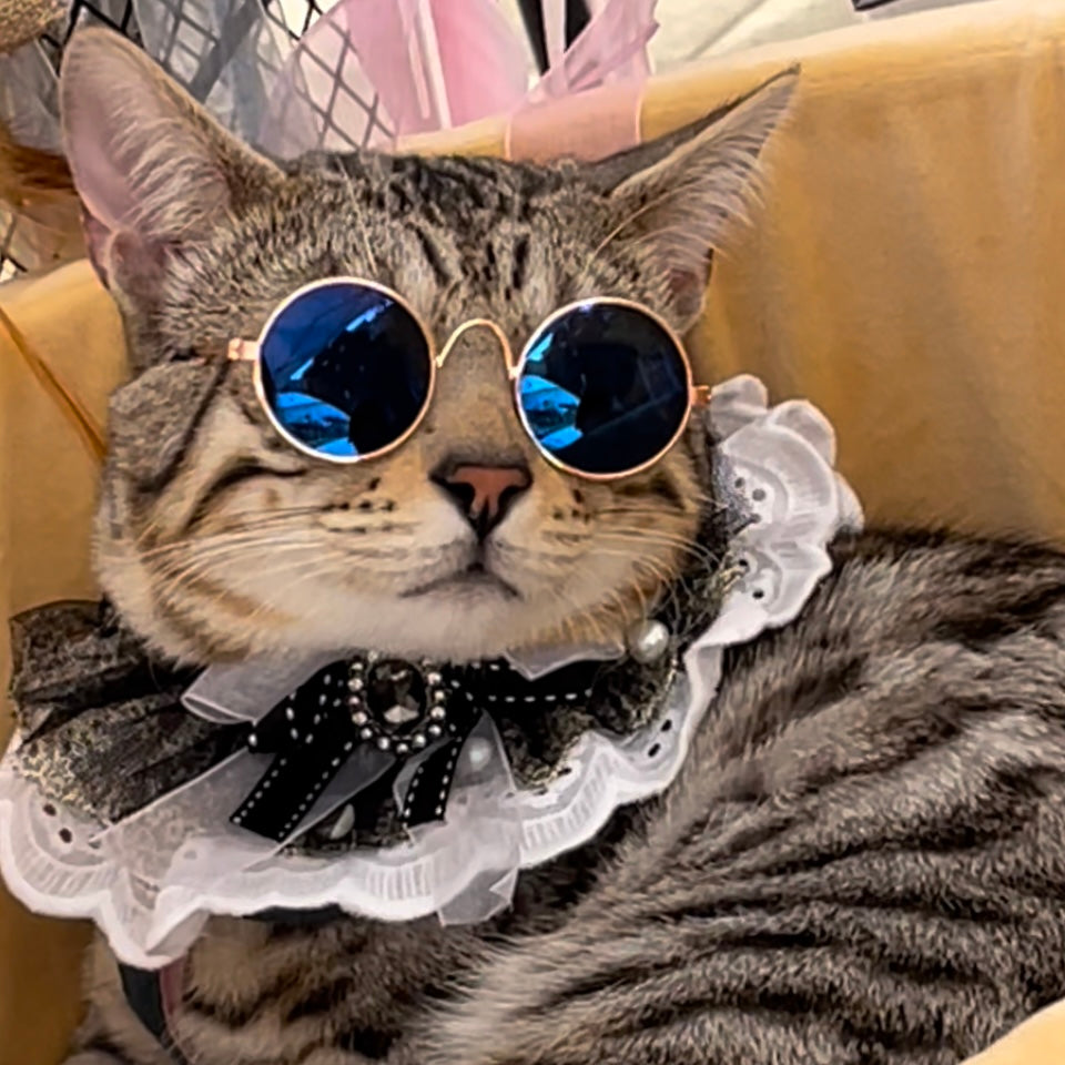 Classic Retro Pet Sunglasses