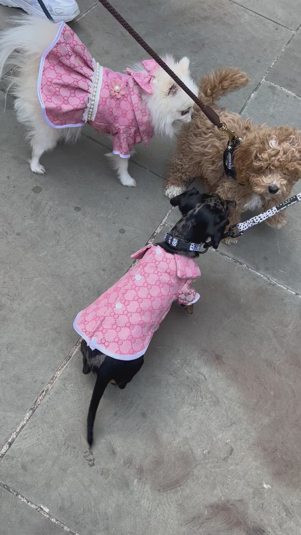 The Pretty In Pink Couple Collection