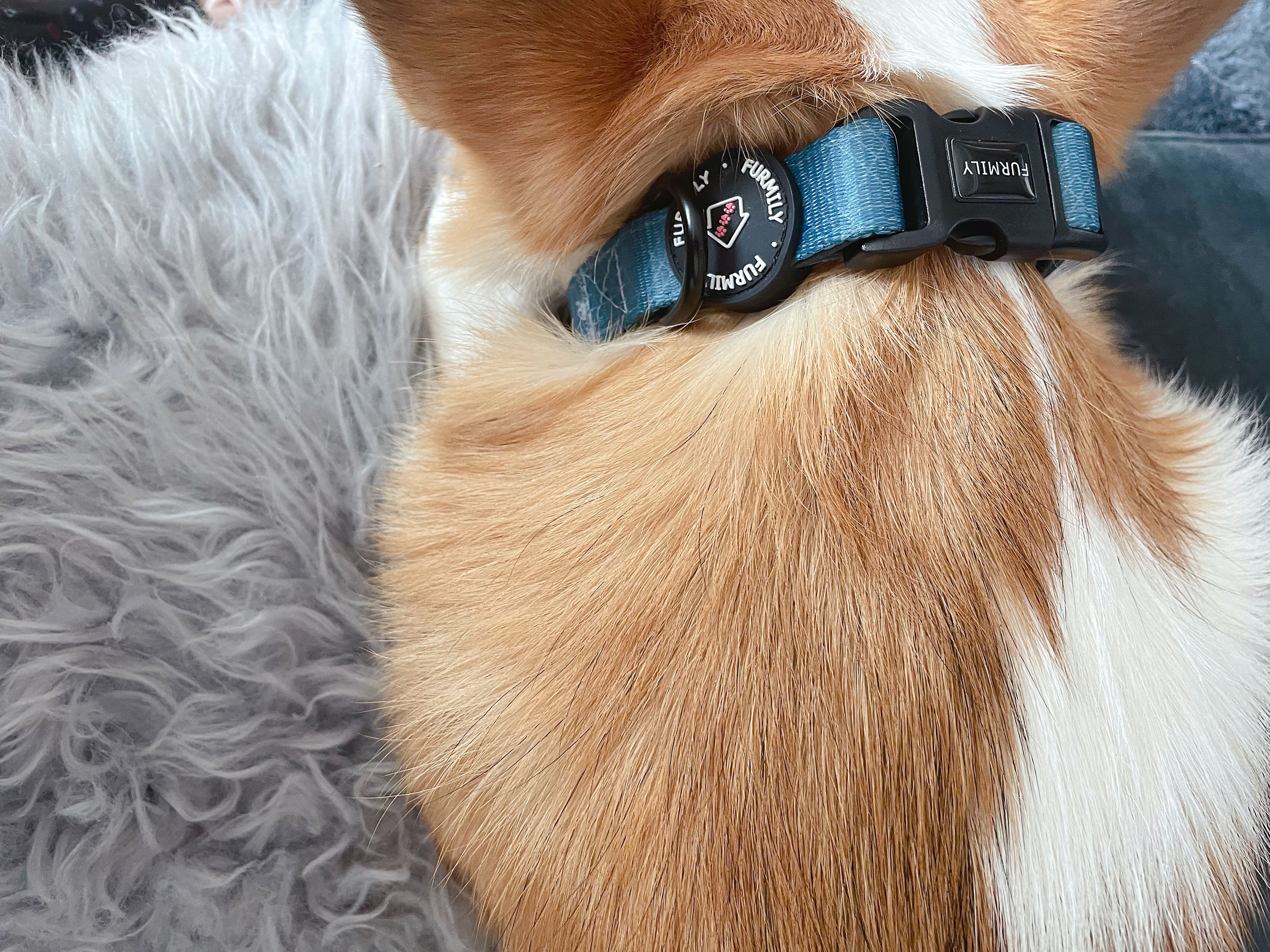 Walk Essentials | 'Try'angle