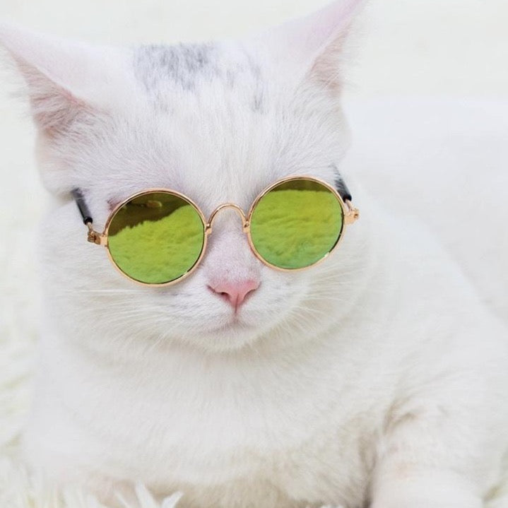 Classic Retro Pet Sunglasses