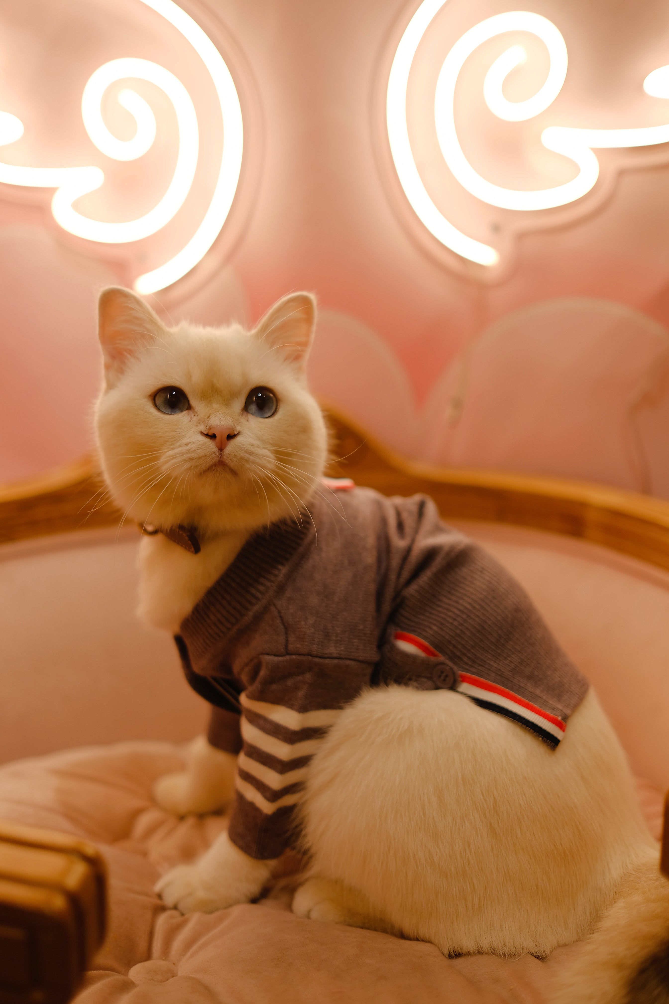 Designer Stripe Grey Cardigan