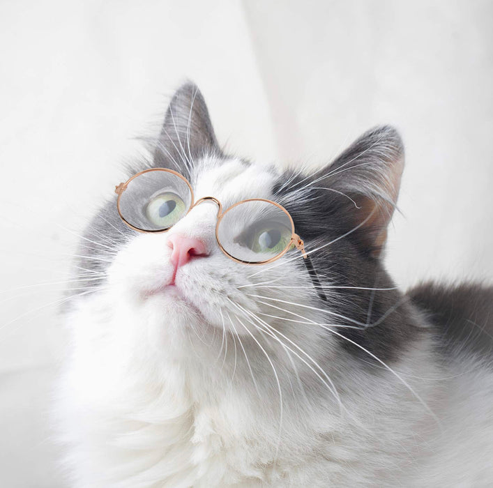 Classic Retro Pet Sunglasses