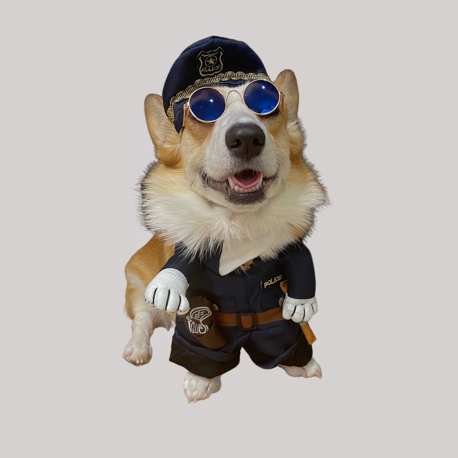 Classic Retro Pet Sunglasses
