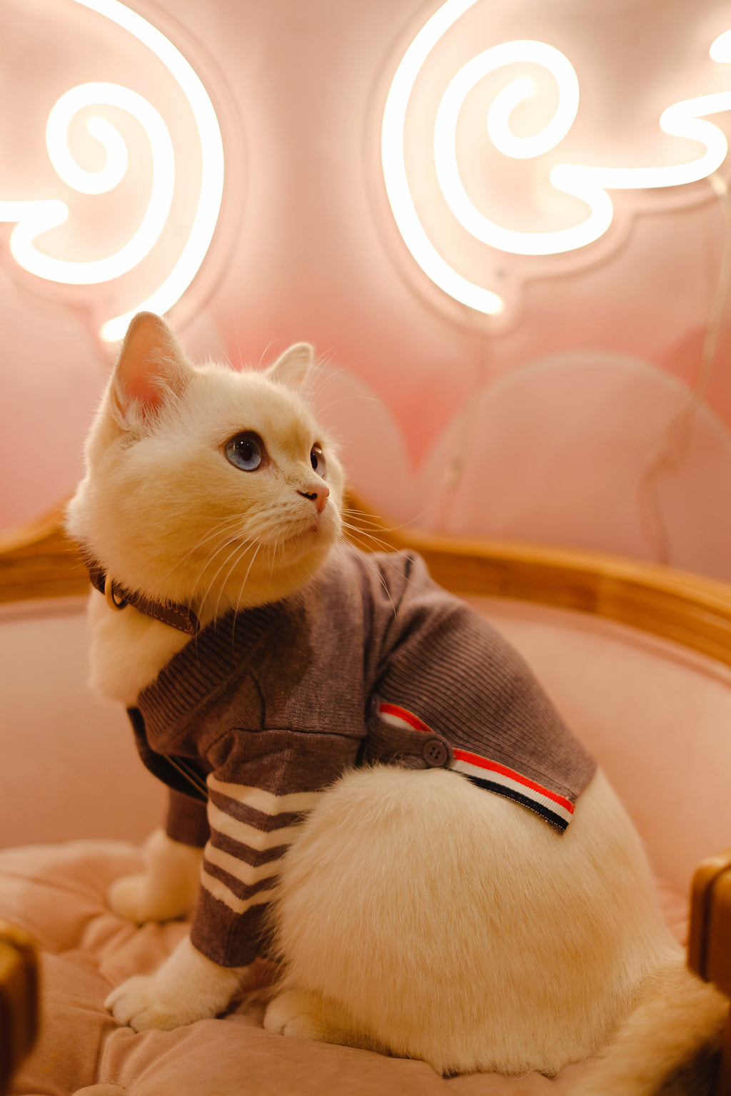 Designer Stripe Grey Cardigan