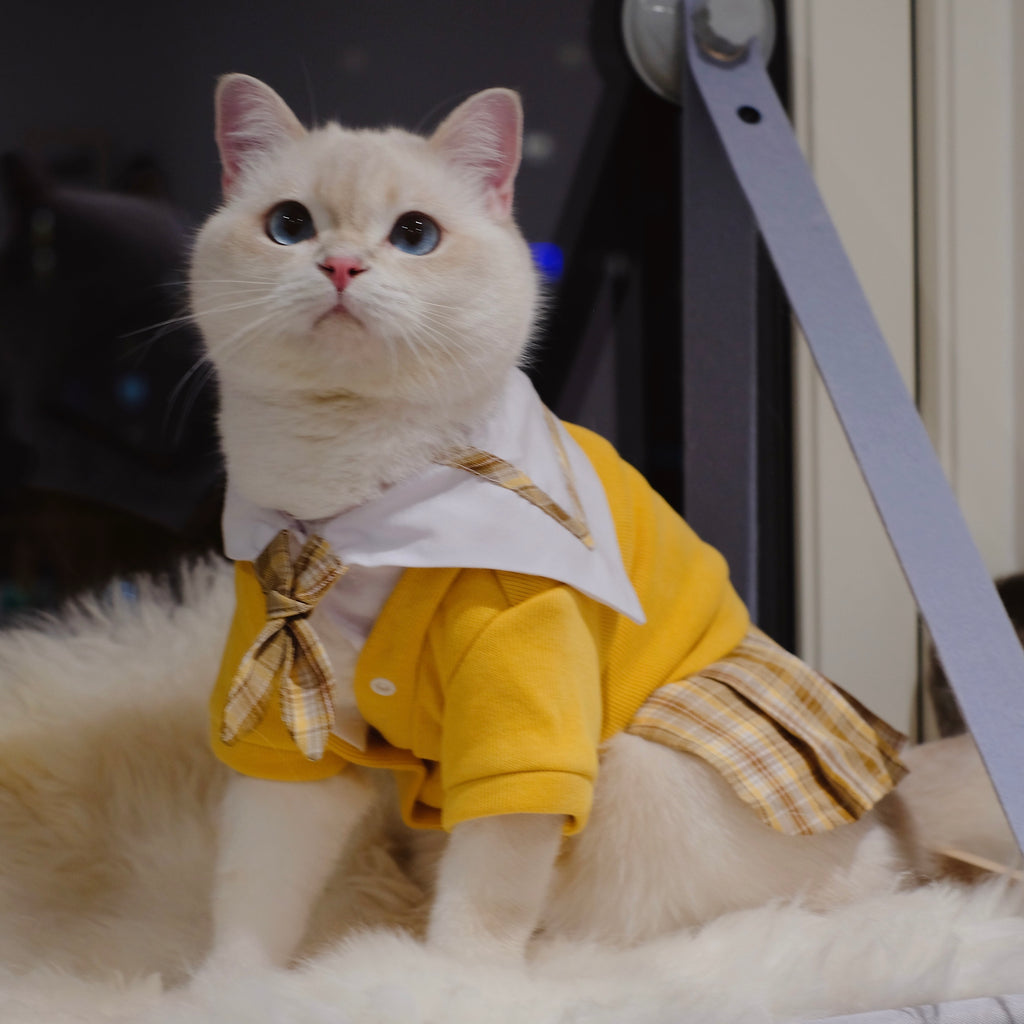 Sailor Uniform Dress Cat