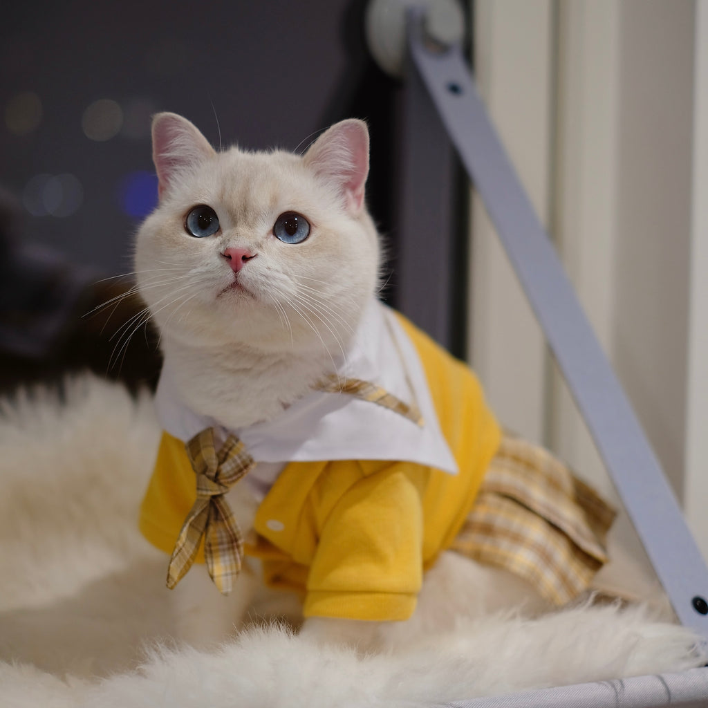 Sailor Uniform Dress Cat